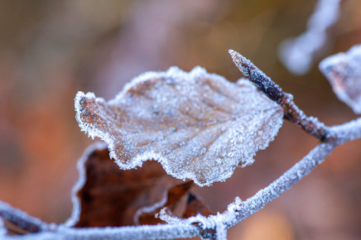 Информация для населения о правилах доврачебной помощи при переохлаждении или обморожении организма